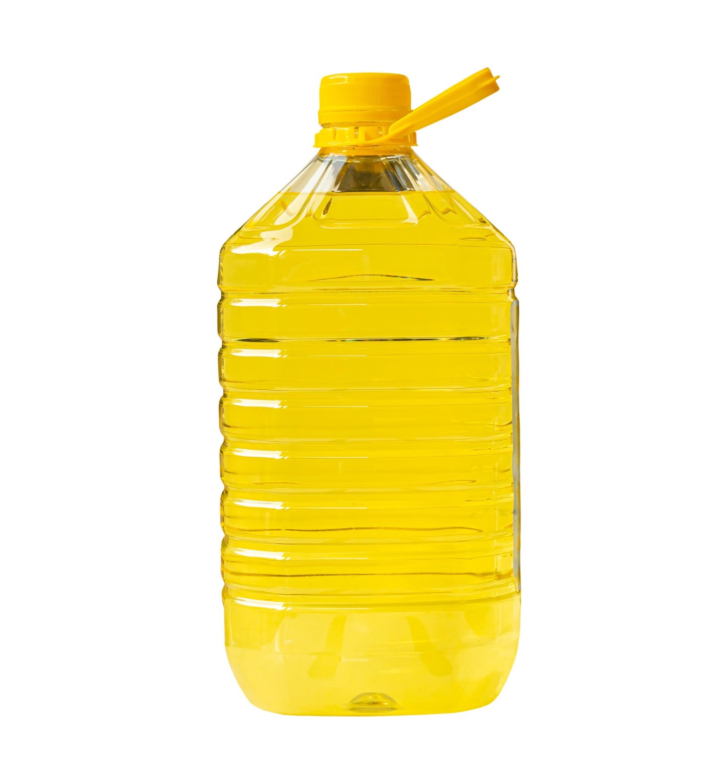 Raps-Öl 10l
